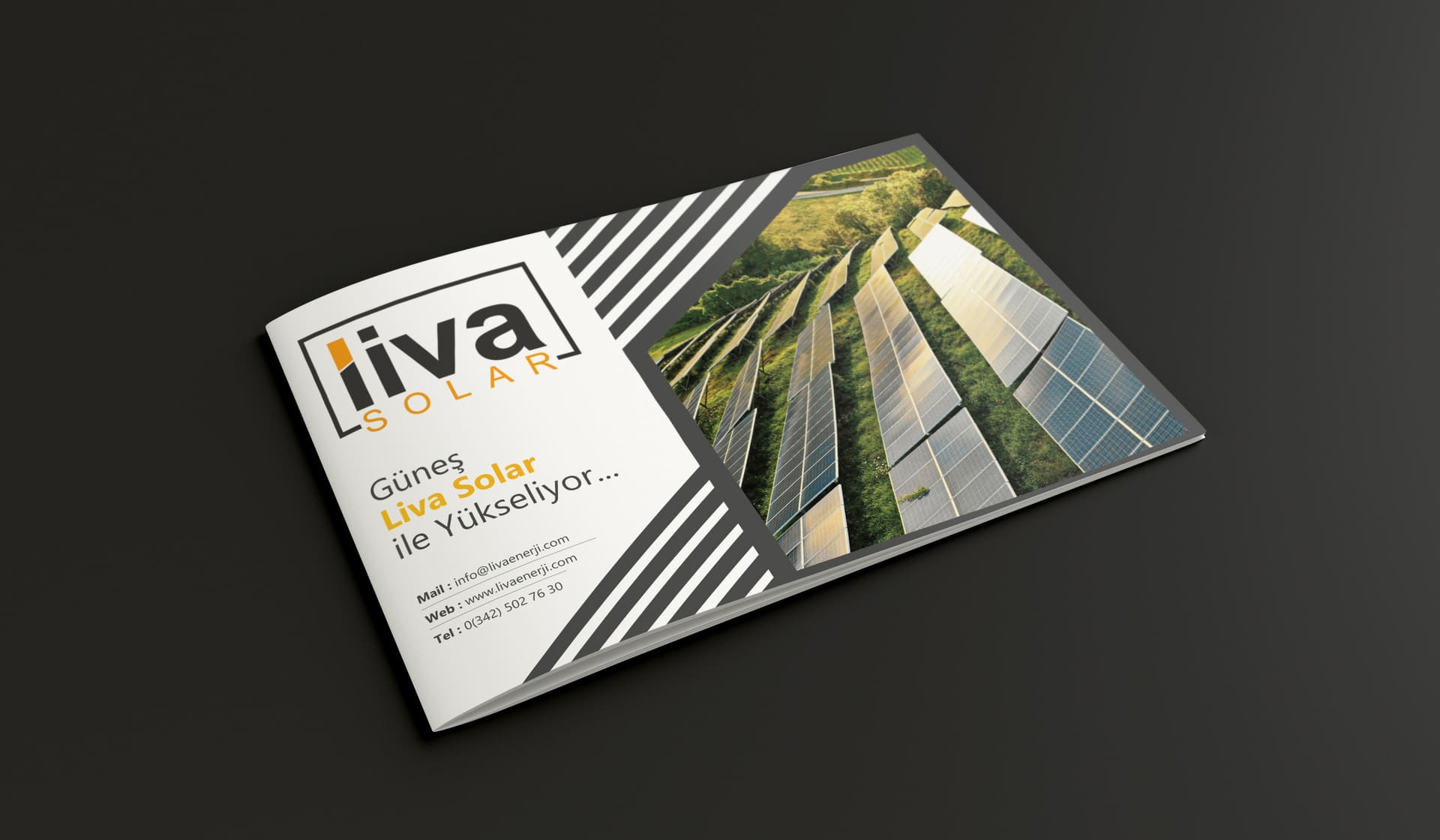 Liva Energy